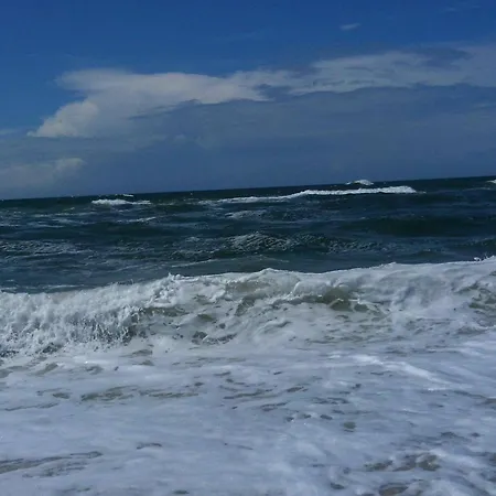 8 Person In Ringkøbing