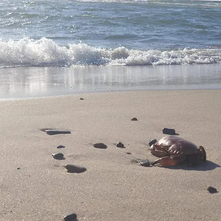 Apartamento 8 Person In