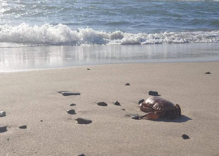 Apartament 8 Person In