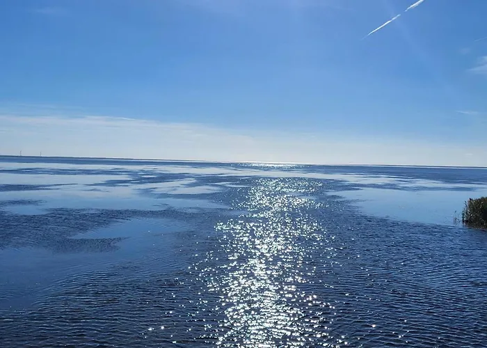 Apartament 8 Person In