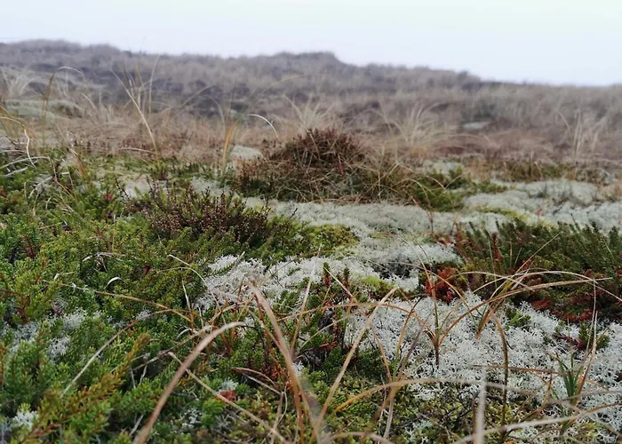 8 Person In Apartament